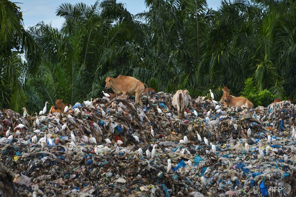 After Malaysia, Indonesia returns containers of waste to the US