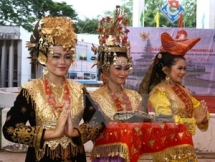 vietnam indonesia friendship associations congress convenes