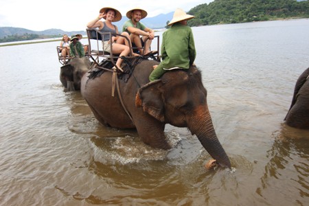 elephant riding excites foreign tourists in central highlands