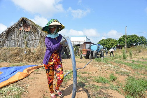 USD700,000 to support women and girls in drought stricken provinces in Vietnam