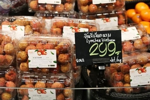 first batch of vietnamese lychee exported to thailand