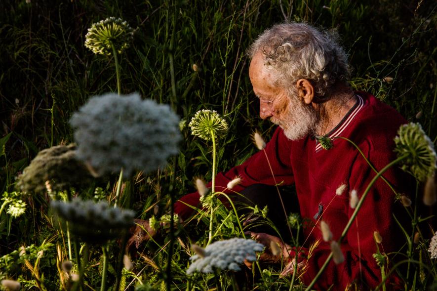 Meet the 21st-century Robinson who never leaves his deserted island