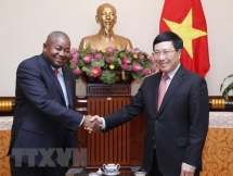 deputy pm pham binh minh welcomes new mozambican ambassador