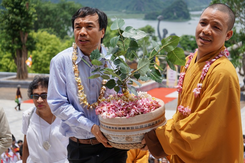 Stories of Vietnam's special Bodhi trees