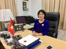 vietnam singapore further develop strategic partnership