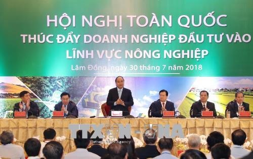 VN should become one of world’s top 15 farming nations: PM