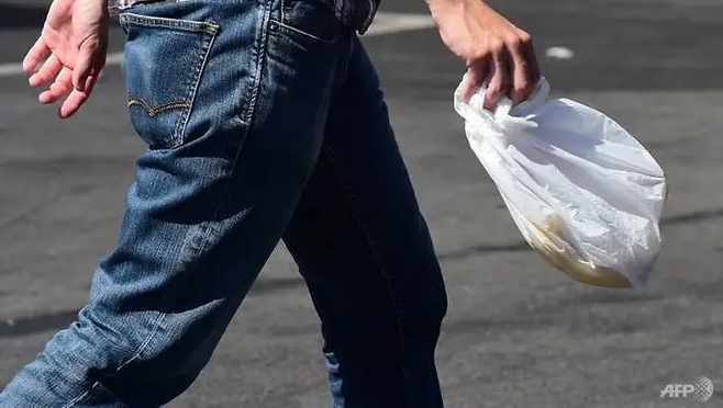 New Zealand officially bans single-use plastic bags from Jul 1