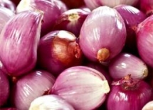what is a shallot most beneficial for