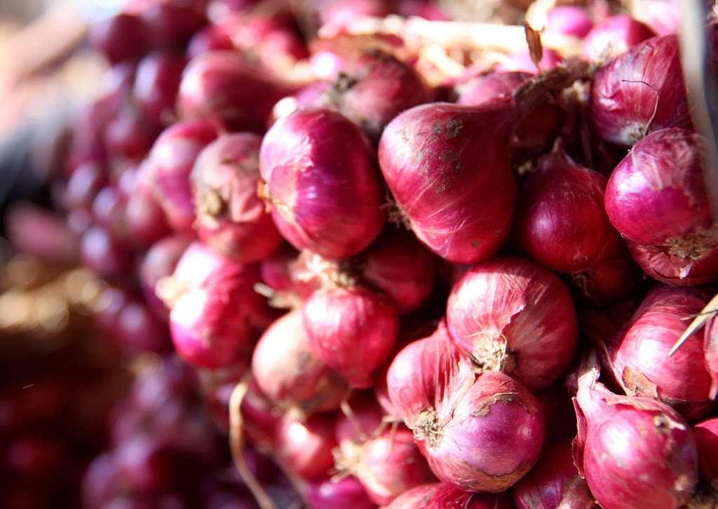 What is a shallot most beneficial for?