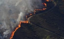wwf superfires across europe due to heat waves could be worse