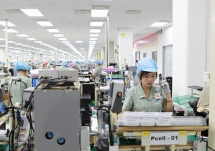 Vietnam, UAE enjoy strong trade growth