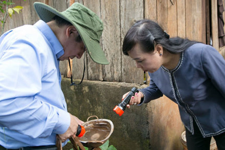 Deputy PM demands measures to tackle dengue fever in Central Highlands