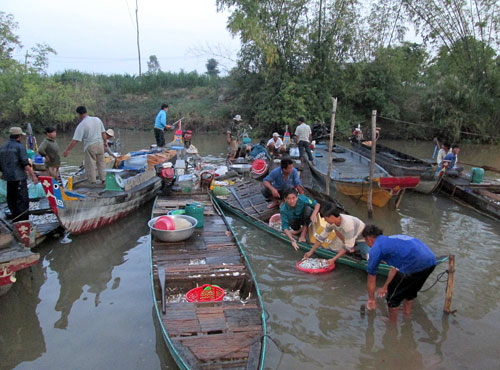 Mekong delta await floods