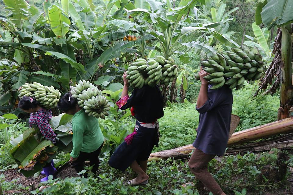 WEAVE project: Brighter future for female farmers in Thanh Van (Bac Kan)