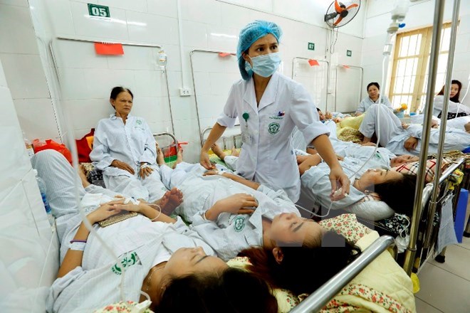 hanoi hcm city focus on stamping out dengue fever