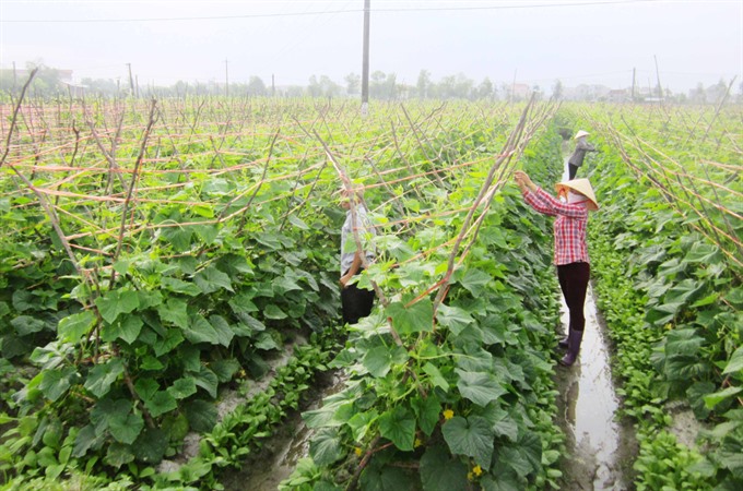 apec seeks boost to food security sustainable agriculture growth