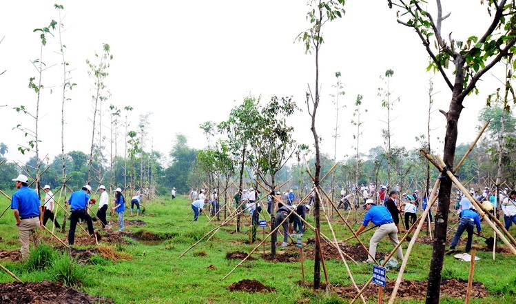 Program on planting over 10,000 trees launched