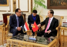 Vietnam, Egypt should bolster trade promotion: President Tran Dai Quang