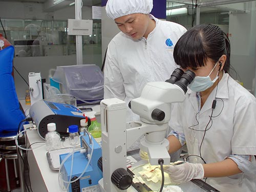 Vietnam scholars win four more U.S. Scientific Research Awards