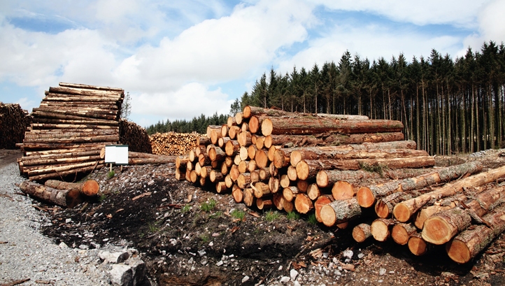 indonesia to issue first licence certifying legal timber entering europe