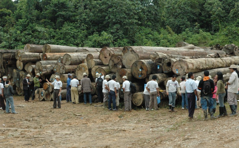 Indonesia to issue first licence certifying legal timber entering Europe