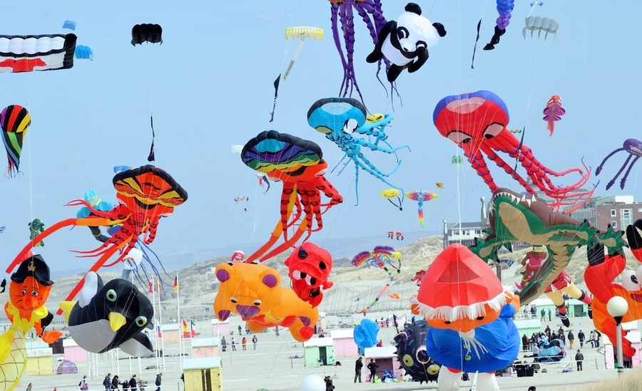 International kite festival holds at Vietnam’s beach town