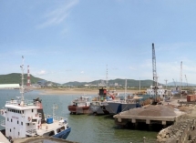 team established to inspect environmental protection in nghi son economic zone