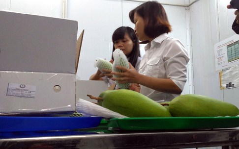 Vietnamese mango officially available in Australia