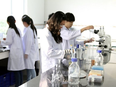 da nang permits first nano tech project