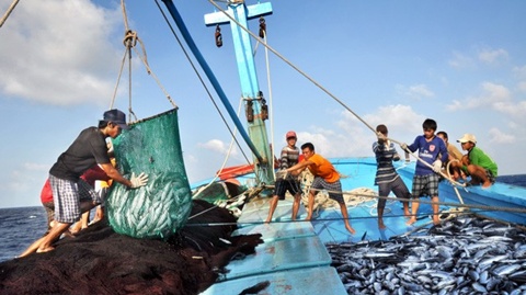 vietnams seafood output hits 23 million tonnes in eight months