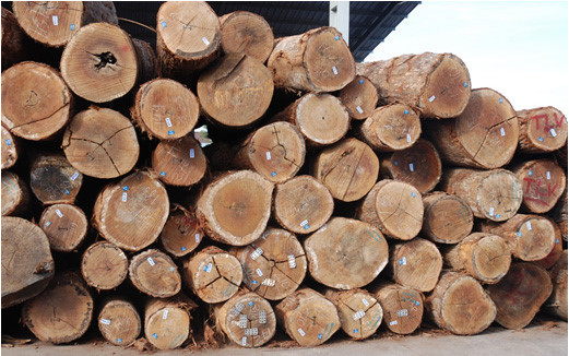 Wood industry feels the heat from Chinese buyers