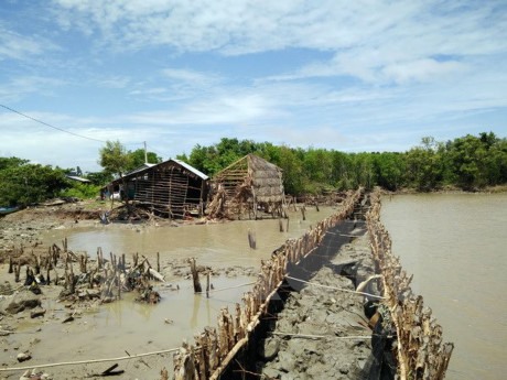 Landslides plague coastal areas in Mekong delta