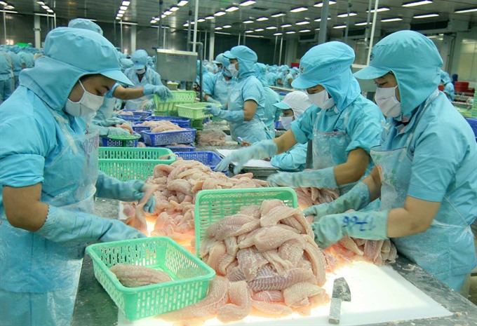 Food safety a must to ensure quality and competitiveness of Vietnamese ...