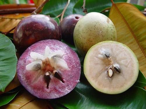 us approves star apple fruit imports from vietnam