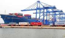 vung tau to invest in logistics port