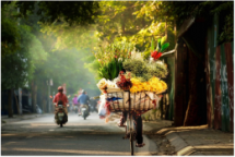 agora names four vietnamese photos top 50 stunning nature shots