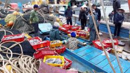 vietnam on right track to lift ecs yellow card on seafood official