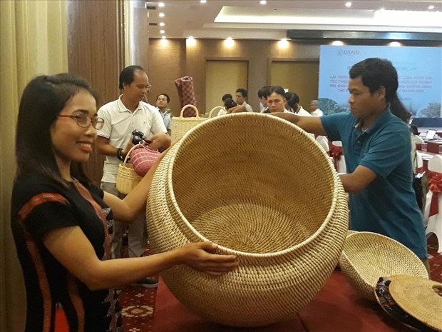 US – funded project helps develop rattan, herbal plants in Quang Nam