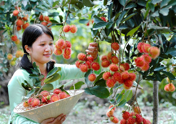 new zealand to enhance collaboration with vietnam in agriculture and food