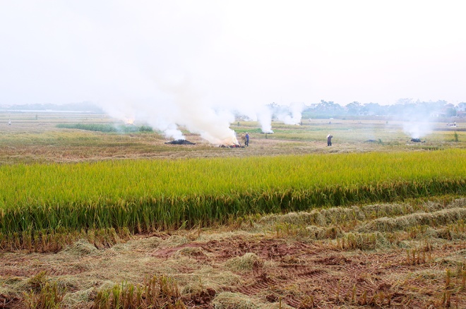 Hanoi suburbs covered by smoke from burnt straw