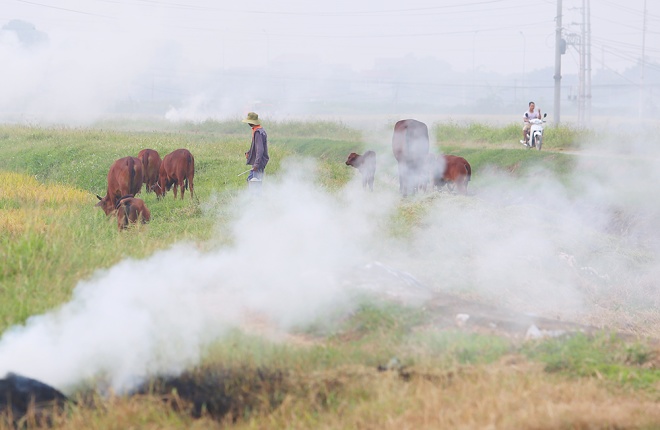 Hanoi suburbs covered by smoke from burnt straw