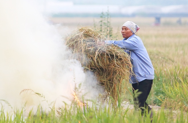 Hanoi suburbs covered by smoke from burnt straw