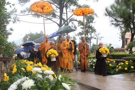 second daisy flower festival in quang ninh province