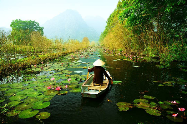 Travel to Huong Pagoda in the lily blooming season