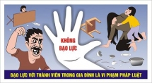 unfpa helps vietnam fight domestic violence