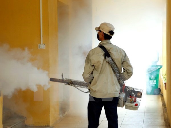 preventive measures against dengue fever prove effective