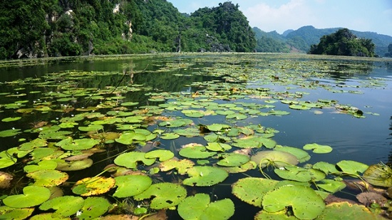 Quan Son Lake is the perfect attraction for nature-lovers to enjoy on the weekend.