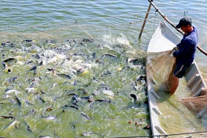 Tra fish exports to exceed USD 2 billion
