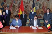 Vietnam, Belgium promote cooperation in multiple fields