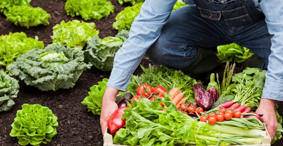 can eating organic food lower your cancer risk hard to prove